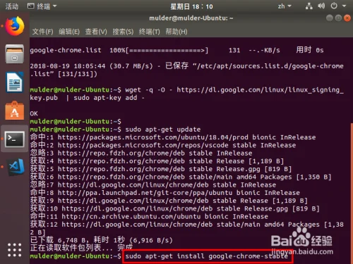 Ubuntu 18.04 安装chrome浏览器