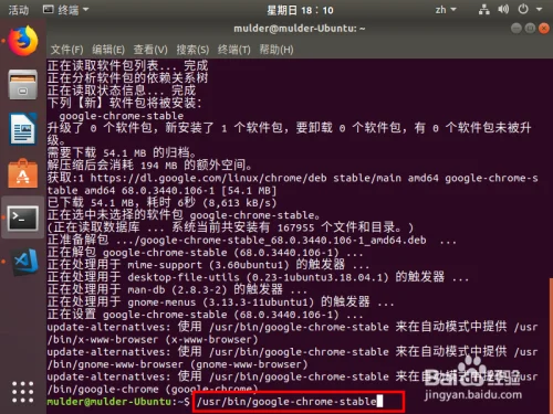Ubuntu 18.04 安装chrome浏览器