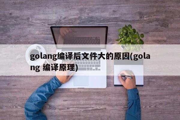 golang编译后文件大的原因(golang 编译原理)-第1张-开发者-匠子博客园