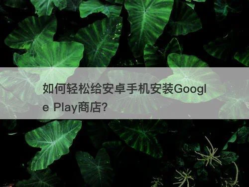 如何轻松给安卓手机安装Google Play商店？-图1