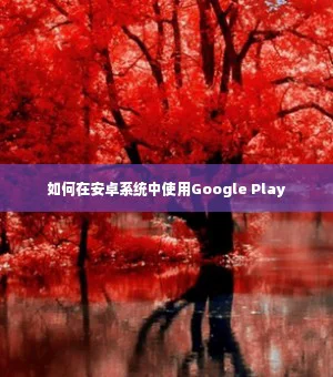 如何在安卓系统中使用Google Play