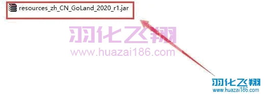 GoLand2020软件安装教程步骤20