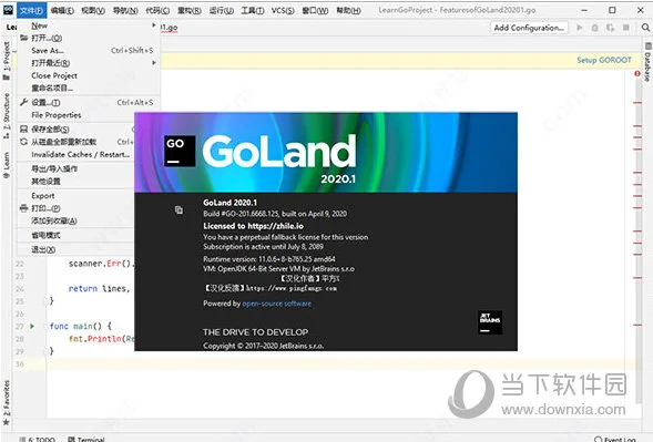 GoLand2020绿色版