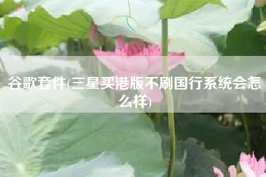 谷歌套件(三星买港版不刷国行系统会怎么样)