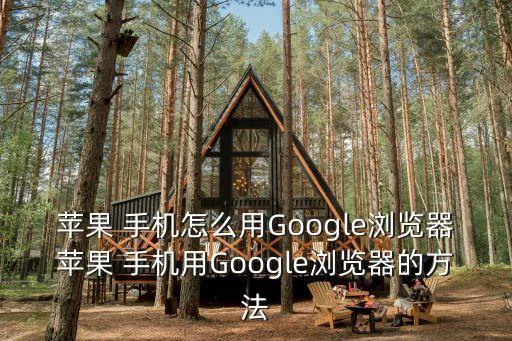 苹果 手机怎么用Google浏览器苹果 手机用Google浏览器的方法