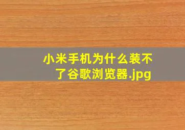 小米手机为什么装不了谷歌浏览器