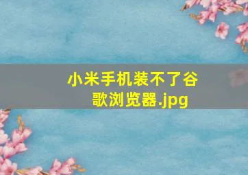 小米手机装不了谷歌浏览器