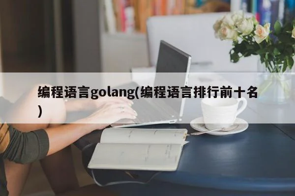 编程语言golang(编程语言排行前十名)  第1张