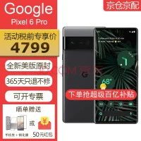 谷歌 Google Pixel 6 pro 智能手机6.7英寸自研谷歌处理器安卓12美版无锁 Pixel 6 Pro黑色 12+128GB美版