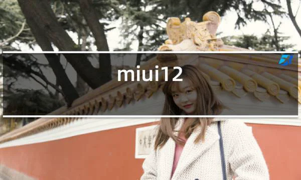 miui12.5.1安装谷歌的相关图片