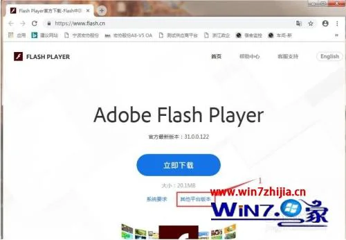 谷歌浏览器提示未安装flash怎么办 Chrome浏览器总提示未安装flash player如何处理