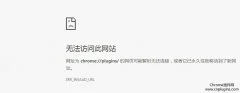 chrome://plugins 为什么无法打开？