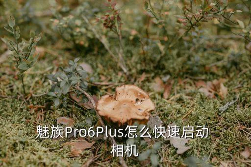 魅族Pro6Plus怎么快速启动 相机