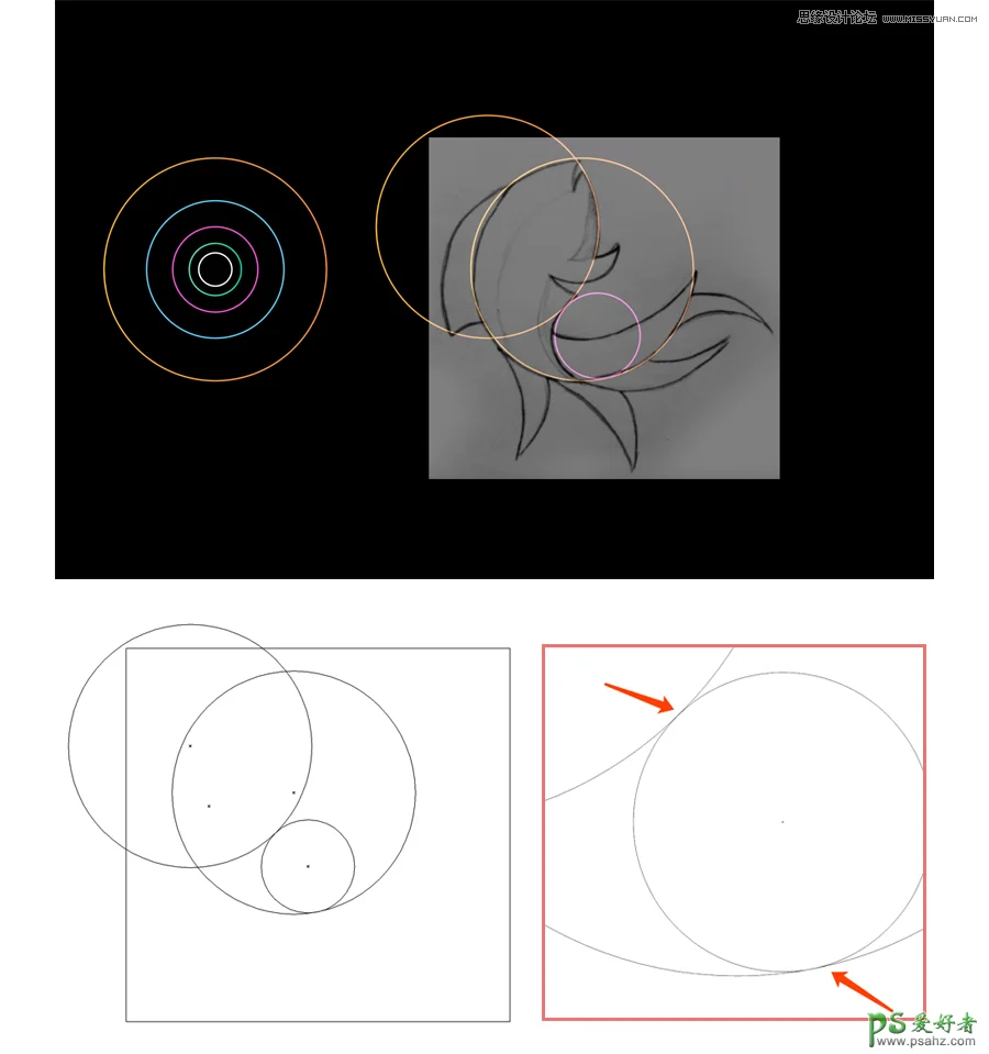 ai图标制作教程：设计漂亮的黄金比例大鱼海棠LOGO,可爱 鱼形LOGO