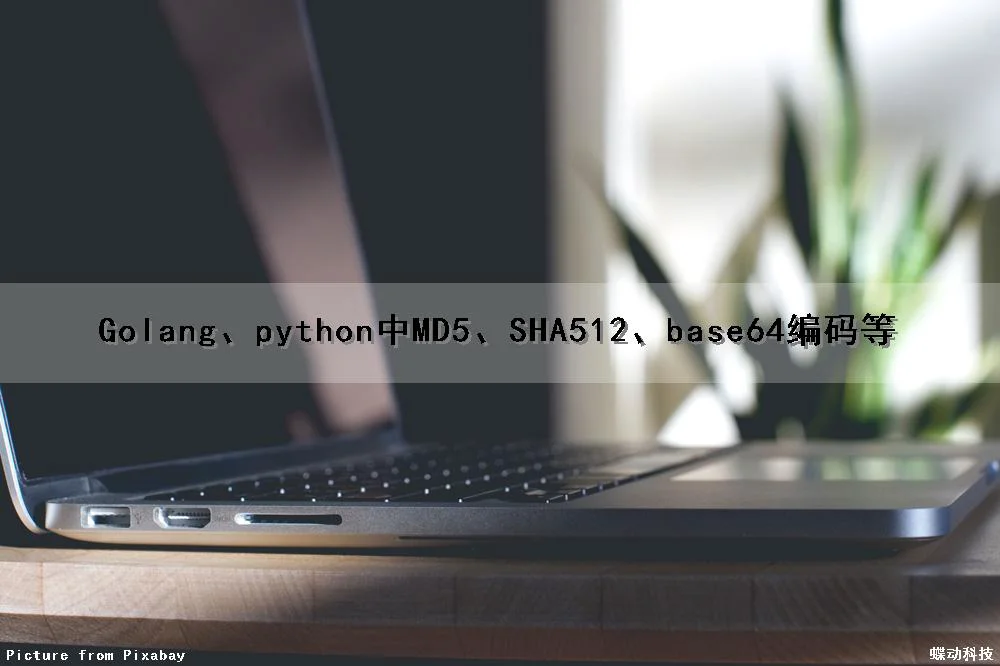 Golang、python中MD5、SHA512、base64编码等